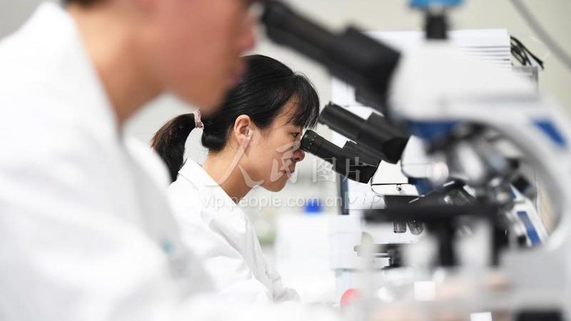 ELISA试剂盒品牌对比评测：揭秘实验室检测的“幕后英雄