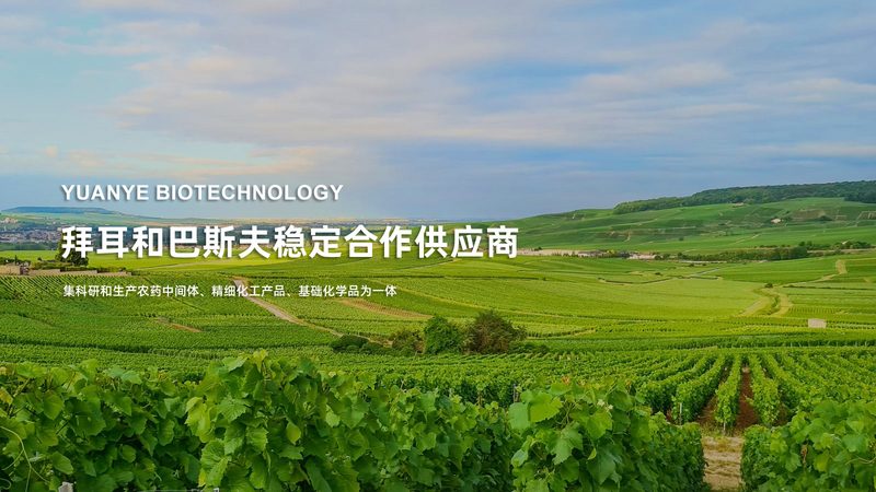 生物医药外包成本核算：关键参数与考量因素**