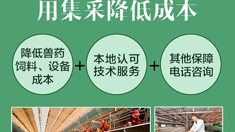 细胞工厂与传统发酵设备：揭秘两者之间的关键差异