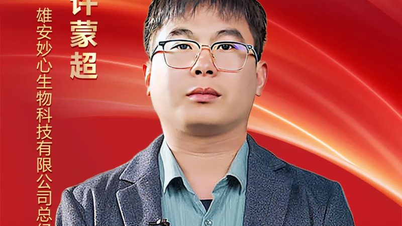 小分子CDMO：揭秘药物研发背后的“隐形功臣